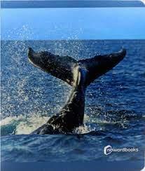 ANIMALES DEL MAR  GRAN FORMATO | 9788412344561 | Llibreria Online de Tremp