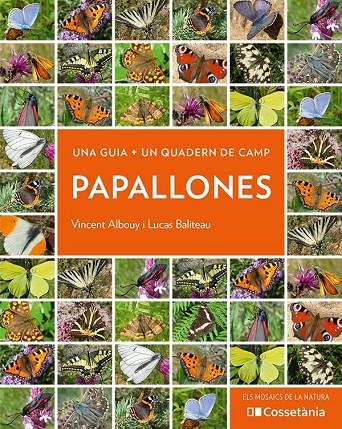 PAPALLONES | 9788413560540 | ALBOUY, VINCENT/BALITEAU, LUCAS | Llibreria Online de Tremp