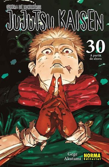 JUJUTSU KAISEN 30 | 9788467975833 | AKUTAMI, GEGE | Llibreria Online de Tremp