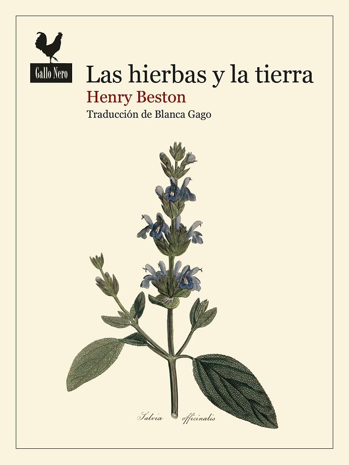 LAS HIERBAS Y LA TIERRA | 9788419168740 | BESTON, HENRY | Llibreria Online de Tremp