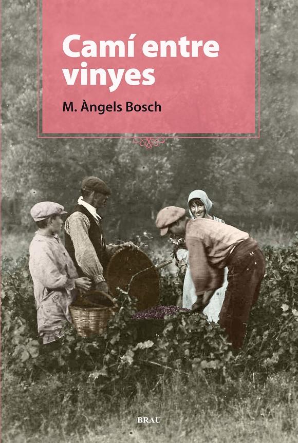 CAMÍ ENTRE VINYES | 9788496905924 | BOSCH CASTELLÓ, M. ÀNGELS
