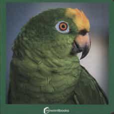 VERDE 39 | 9788412534405 | Llibreria Online de Tremp