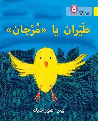 BC 3 - FLY MURJAN (ARABIC) | 9780008185541