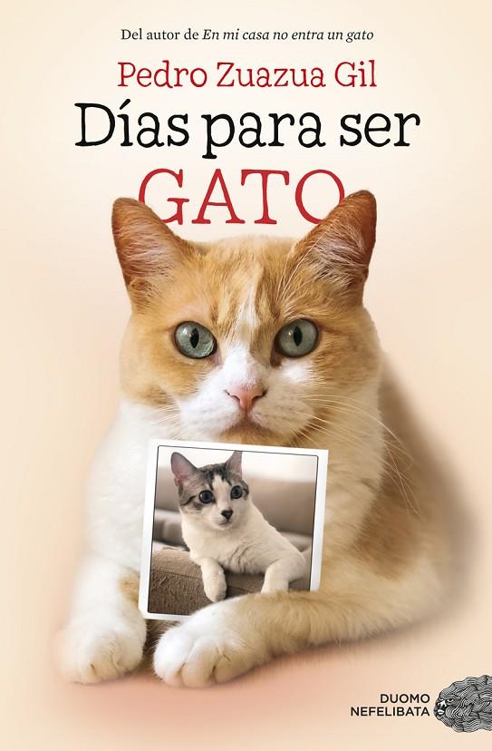 DÍAS PARA SER GATO | 9788417128524 | ZUAZUA GIL, PEDRO | Llibreria Online de Tremp