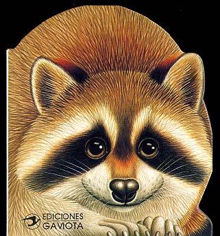 UN MAPACHE EN EL RIO | 9788439288190