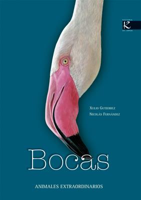 BOCAS | 9788496957282 | GUTIERREZ ROGER, JULIO; FERNANDEZ PRIMOLA, NICOLAS