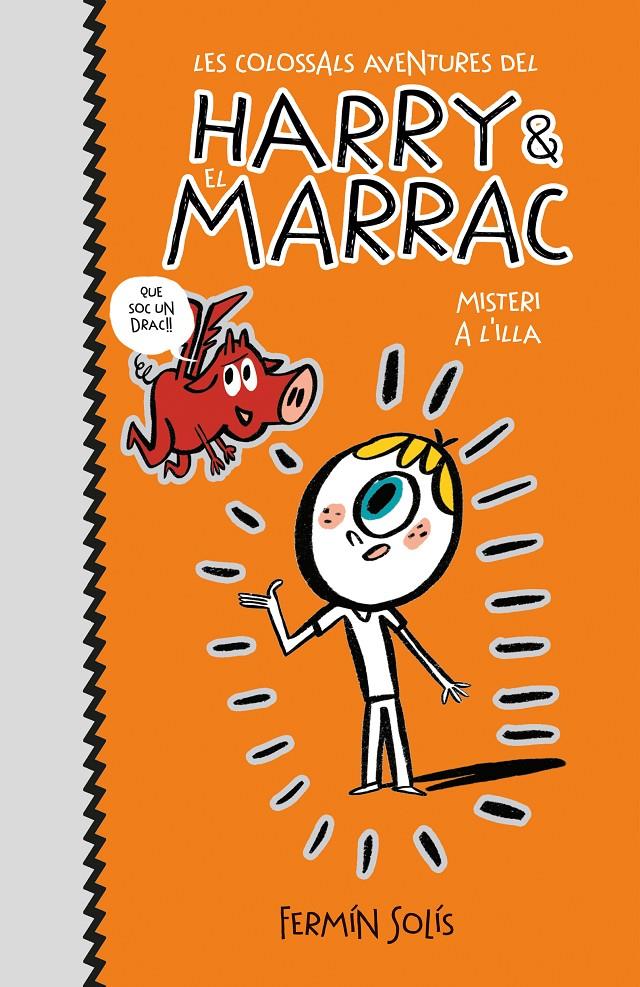 MISTERI A L'ILLA (LES COLOSSALS AVENTURES DEL HARRY I EL MARRAC 2) | 9788417671600 | SOLÍS, FERMÍN | Llibreria Online de Tremp