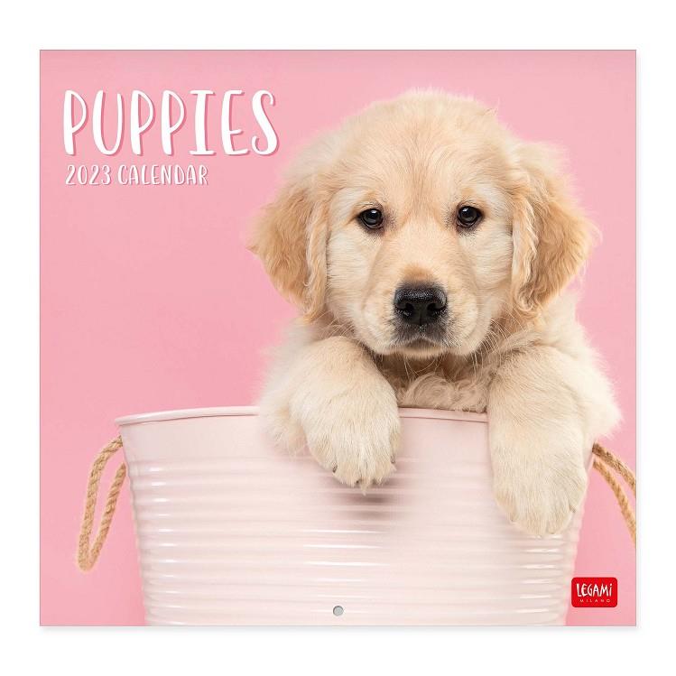 CALENDARI 2023 PARET PUPPIES | 8054117621896 | Llibreria Online de Tremp