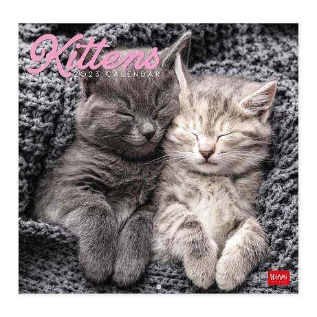 CALENDARI 2023 PARET KITTENS | 8054117621902 | Llibreria Online de Tremp