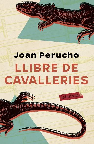 LLIBRE DE CAVALLERIES | 9788417423643 | PERUCHO, JOAN | Llibreria Online de Tremp