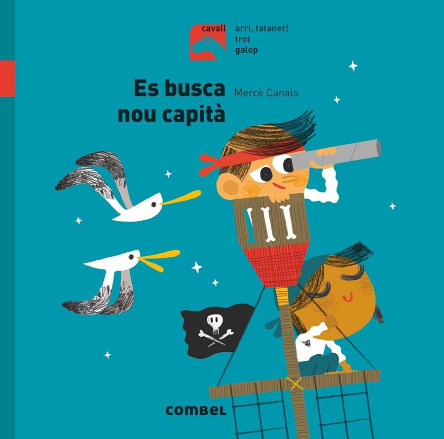 ES BUSCA NOU CAPITÀ | 9788491014225 | CANALS FERRER, MERCÈ | Llibreria Online de Tremp