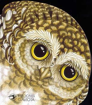 UN MOCHUELO EN LA NOCHE | 9788439283645 | LORELLA RIZZATTI