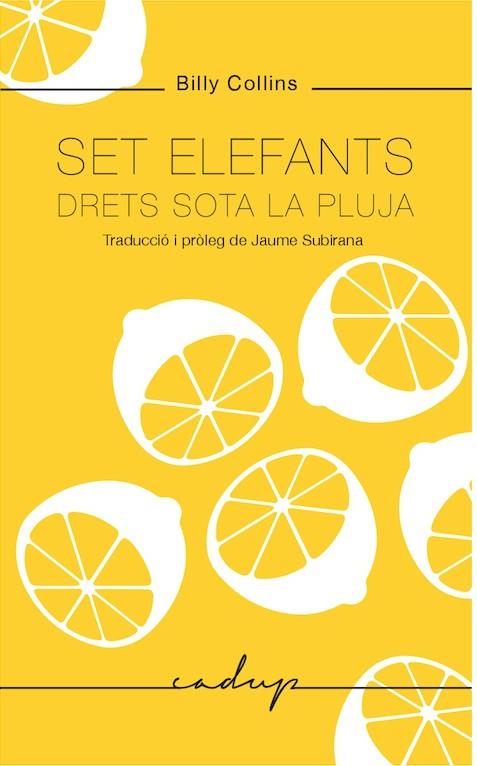 SET ELEFANTS DRETS SOTA LA PLUJA | 9788494943218 | COLLINS, BILLY | Llibreria Online de Tremp