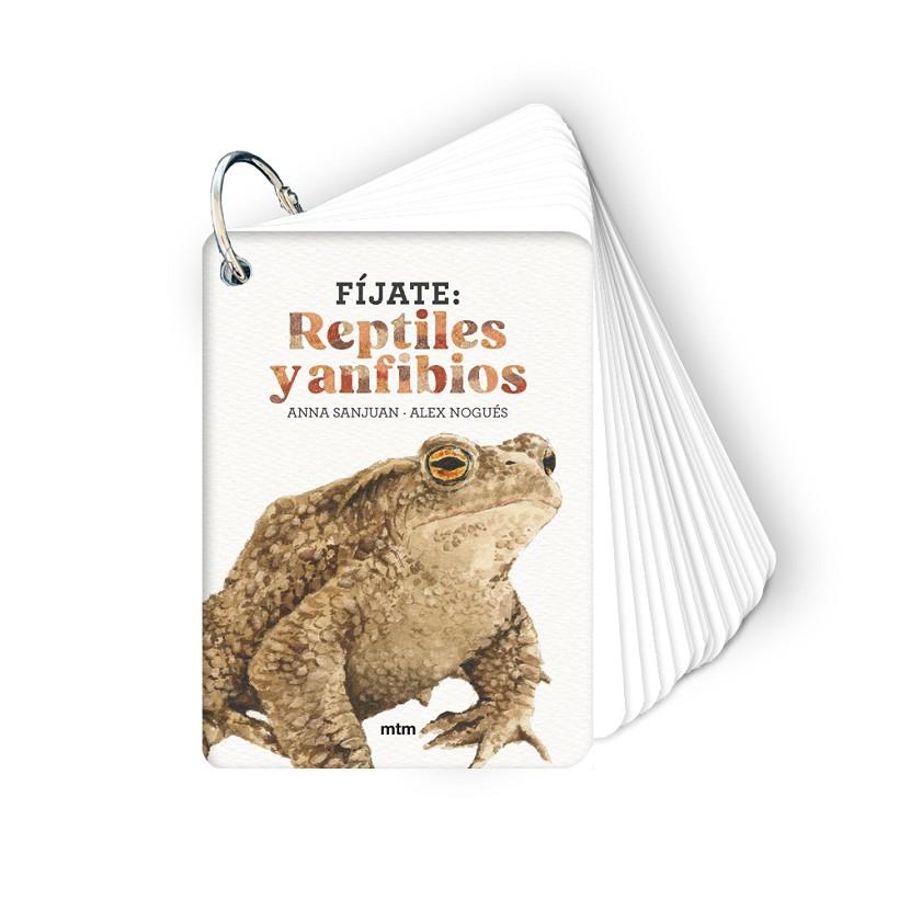 FÍJATE: REPTILES Y ANFIBIOS | 9788410407596 | SANJUAN LLORENS, ANNA/NOGUÉS, ALEX | Llibreria Online de Tremp