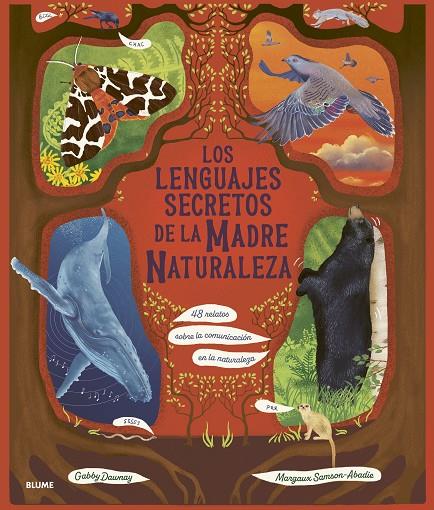 LOS LENGUAJES SECRETOS DE LA MADRE NATURALEZA | 9788410469945 | DAWNAY, GABBY/SAMSON ABADIE, MARGAUX | Llibreria Online de Tremp