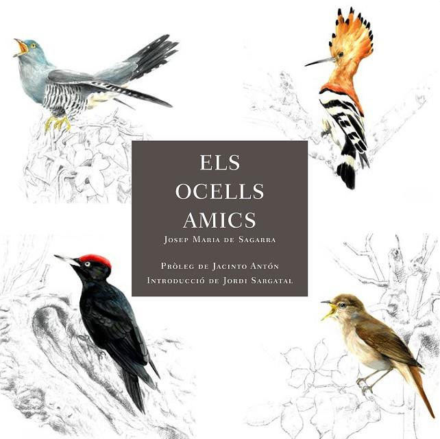 ELS OCELLS AMICS | 9788412949025 | DE SAGARRA, JOSEP MARIA | Llibreria Online de Tremp
