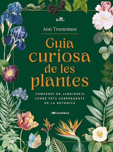 GUIA CURIOSA DE LES PLANTES | 9788413565354 | TRENEMAN, ANN | Llibreria Online de Tremp