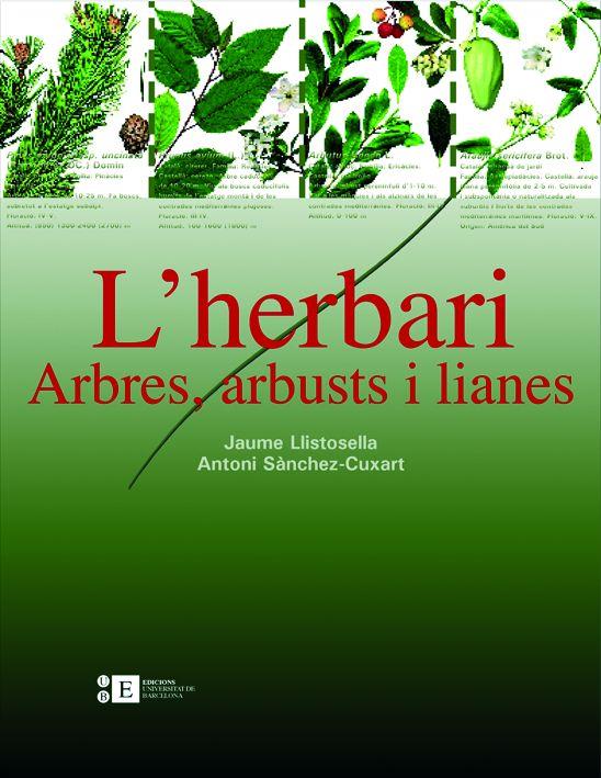 HERBARI : ARBRES, ARBUSTS I LIANES | 9788483384220 | LLISTOSELLA, JAUME I SANCHEZ, ANTONI | Llibreria Online de Tremp