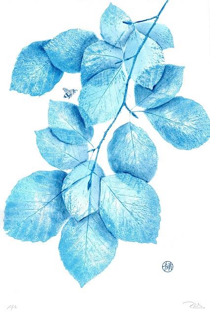 IL·LUSTRACIÓ EL OLOR DEL BOSQUE | ROSA EVA 15