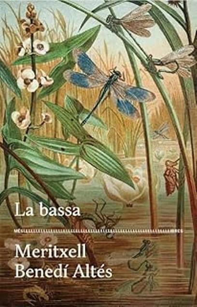 LA BASSA | 9788417353728 | BENEDÍ, MERITXELL | Llibreria Online de Tremp