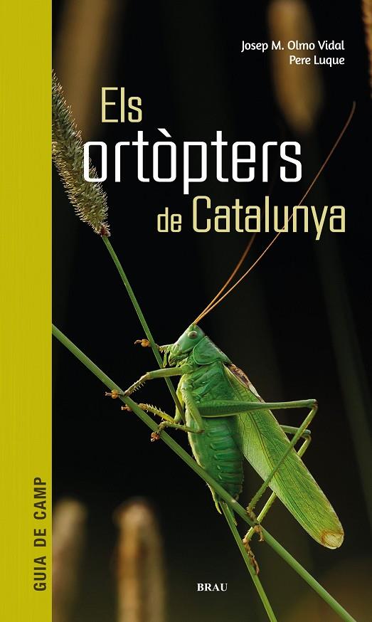 ELS ORTÒPTERS DE CATALUNYA | 9788418096266 | OLMO VIDAL, JOSEP M/LUQUE PINO, PERE | Llibreria Online de Tremp