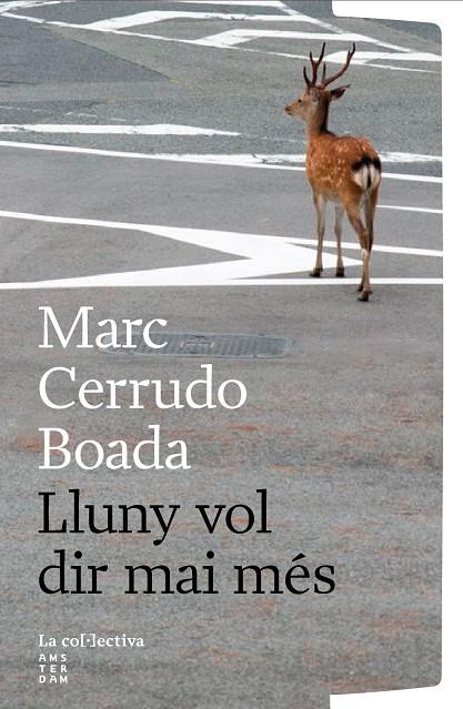 LLUNY VOL DIR MAI MÉS | 9791387800260 | CERRUDO BOADA, MARC | Llibreria Online de Tremp