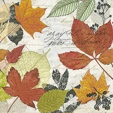 TOVALLÓ PAPER HERBARI MULTICOLOR | 4037698162761 | Llibreria Online de Tremp