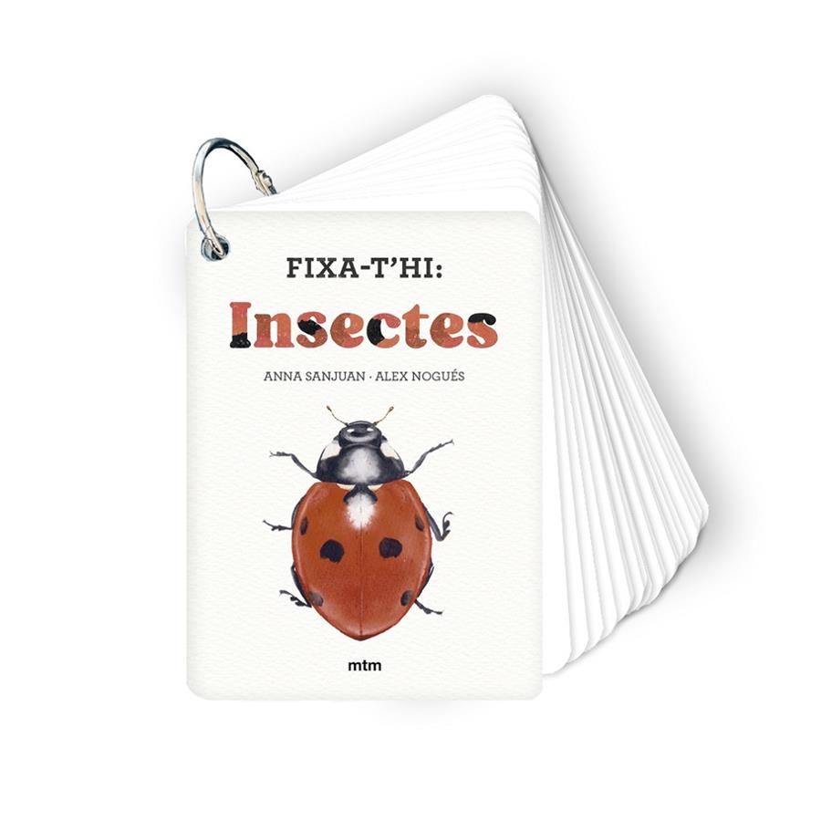 FIXA-T'HI: INSECTES | 9788410407213 | SANJUAN LLORENS, ANNA/NOGUÉS OTERO, ALEX | Llibreria Online de Tremp