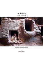IN ITINERE | 9788412163384 | RAMELL, JOAN
