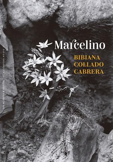 MARCELINO | 9788410476431 | COLLADO CABRERA, BIBIANA | Llibreria Online de Tremp