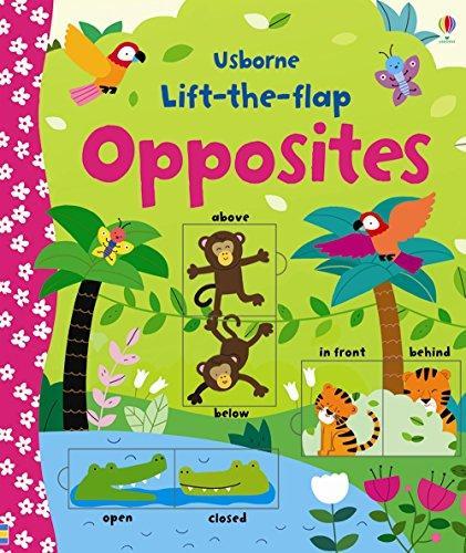 OPPOSTIES | 9781409582588 | FELICITY BROOKS | Llibreria Online de Tremp