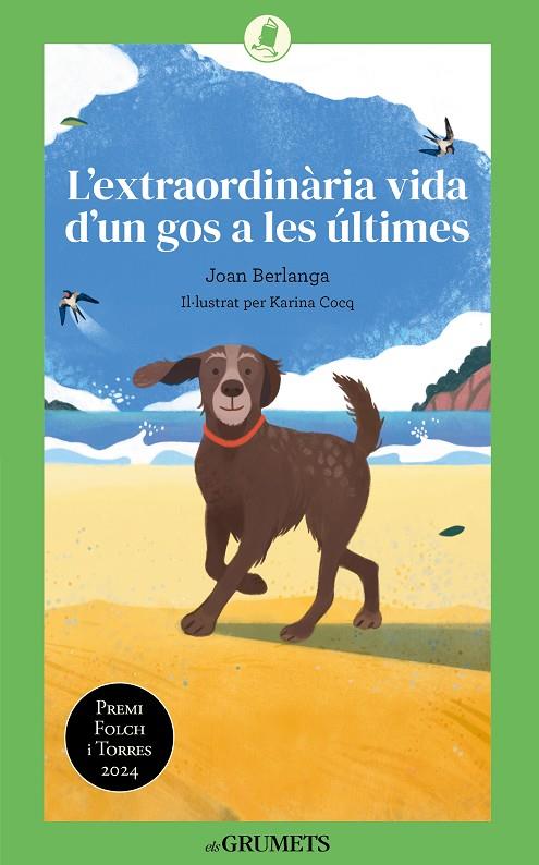 L'EXTRAORDINÀRIA VIDA D'UN GOS A LES ÚLTIMES | 9788424677893 | BERLANGA SARRASECA, JOAN | Llibreria Online de Tremp