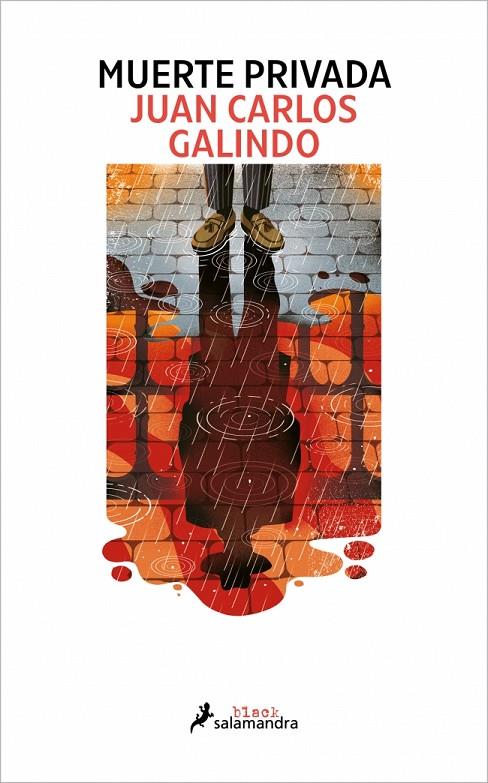 MUERTE PRIVADA (SEGOVIA NOIR 2) | 9788410340503 | GALINDO, JUAN CARLOS | Llibreria Online de Tremp