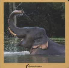 LOS ANIMALES SALVAJES | 9788494295614 | Llibreria Online de Tremp