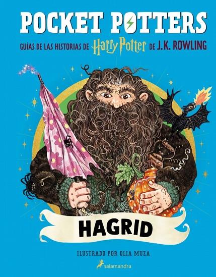 POCKET POTTERS - HAGRID | 9788419868862 | ROWLING, J.K. | Llibreria Online de Tremp