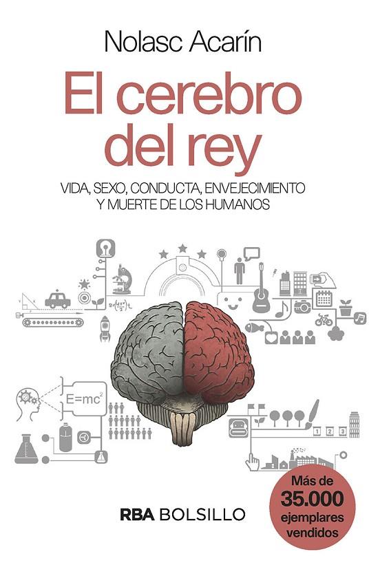 EL CEREBRO DEL REY (BOLSILLO) | 9788490569528 | ACARÍN, NOLASC