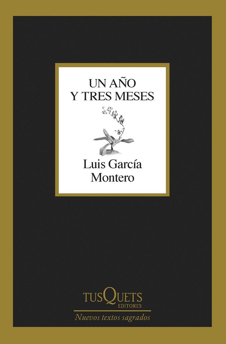 UN AÑO Y TRES MESES | 9788411071475 | GARCÍA MONTERO, LUIS | Llibreria Online de Tremp