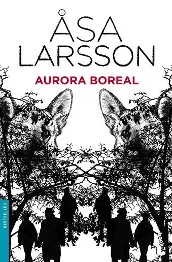 AURORA BOREAL | 9788432250828 | LARSSON, ASA
