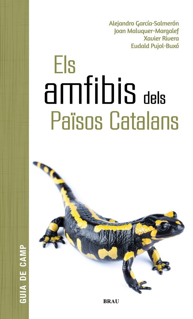 ELS AMFIBIS DELS PAÏSOS CATALANS | 9788418096341 | GARCÍA SALMERÓN, ALEJANDRO/MALUQUER MARGALEF, JOAN/RIVERA MULA, XAVIER/PUJOL BUXÓ, EUDALD | Llibreria Online de Tremp