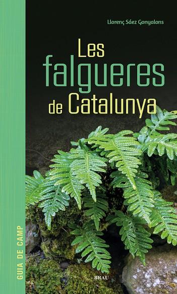 LES FALGUERES DE CATALUNYA | 9791387701017 | SÁEZ GONYALONS, LLORENÇ | Llibreria Online de Tremp
