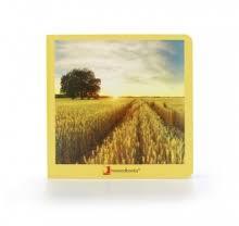 CAMPO 17 | 9788412171099 | Llibreria Online de Tremp