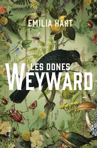 LES DONES WEYWARD | 9788466430210 | HART, EMILIA | Llibreria Online de Tremp
