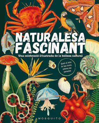 NATURALESA FASCINANT | 9788419095596 | MOSQUITO BOOKS | Llibreria Online de Tremp