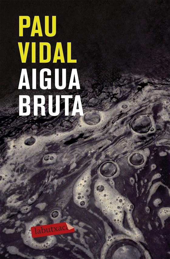 AIGUA BRUTA | 9788499301228 | VIDAL, PAU | Llibreria Online de Tremp