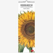 CALENDARI 2020 "HERBARIUM" | 8051739304183