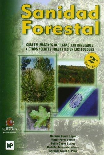 SANIDAD FORESTAL : GUIA EN IMAGENES DE PLAGAS, ENFERMEDADES | 9788484763024 | MUÑOZ LOPEZ, CARMEN  [ET. AL.] | Llibreria Online de Tremp