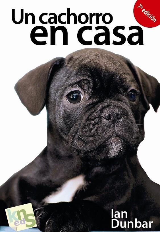 CACHORRO EN CASA, UN: ¡NO HAY TIEMPO QUE PERDER! | 9788493460938 | DUNBAR, IAN | Llibreria Online de Tremp
