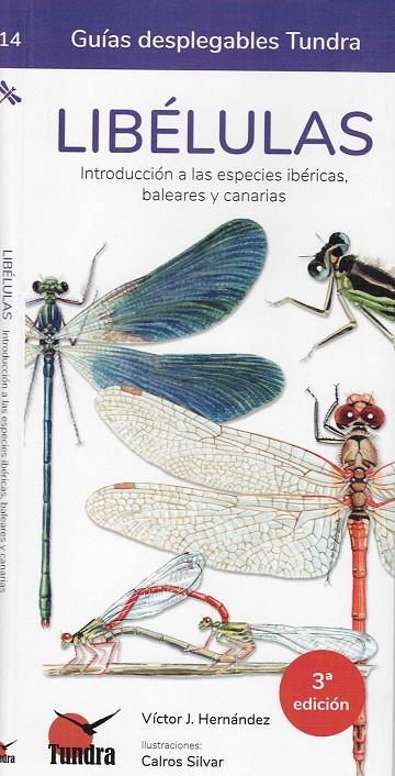 NIDOS DE AVES GUIAS DESPLEGABLES TUNDRA | 9788418458859 | Llibreria Online de Tremp