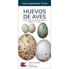 HUEVOS DE AVES GUIAS DESPLEGABLES TUNDRA | 9788418458491 | Llibreria Online de Tremp