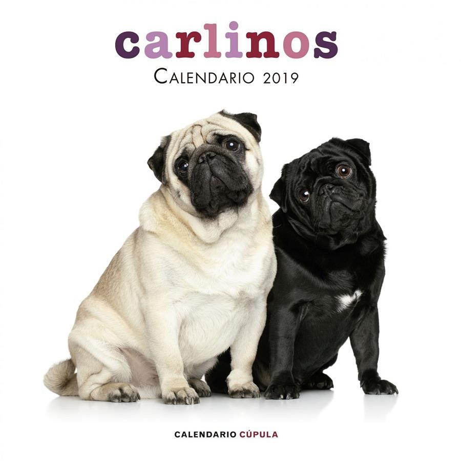 CALENDARIO CARLINOS 2019 | 9788448024680 | AA. VV. | Llibreria Online de Tremp